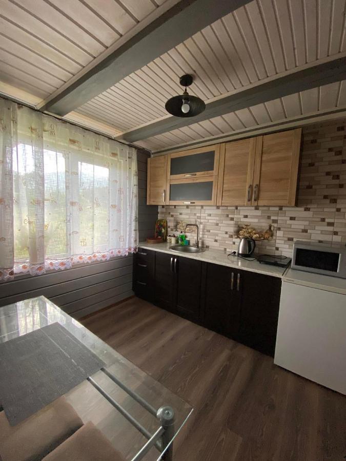 Кришталеві Вершини Villa Vorohta Kültér fotó